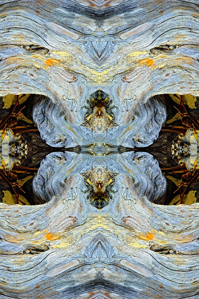 Abstract pattern in driftwood-Bandon Beach-Oregon art print by Adam Jones for $57.95 CAD