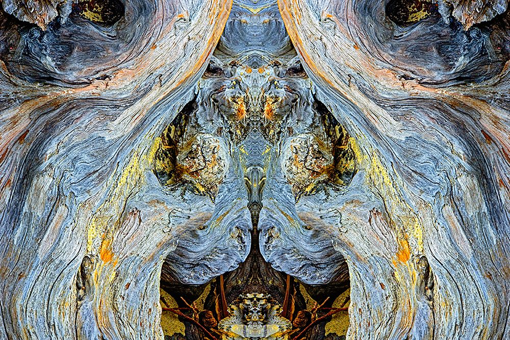 Abstract pattern in driftwood-Bandon Beach-Oregon art print by Adam Jones for $57.95 CAD