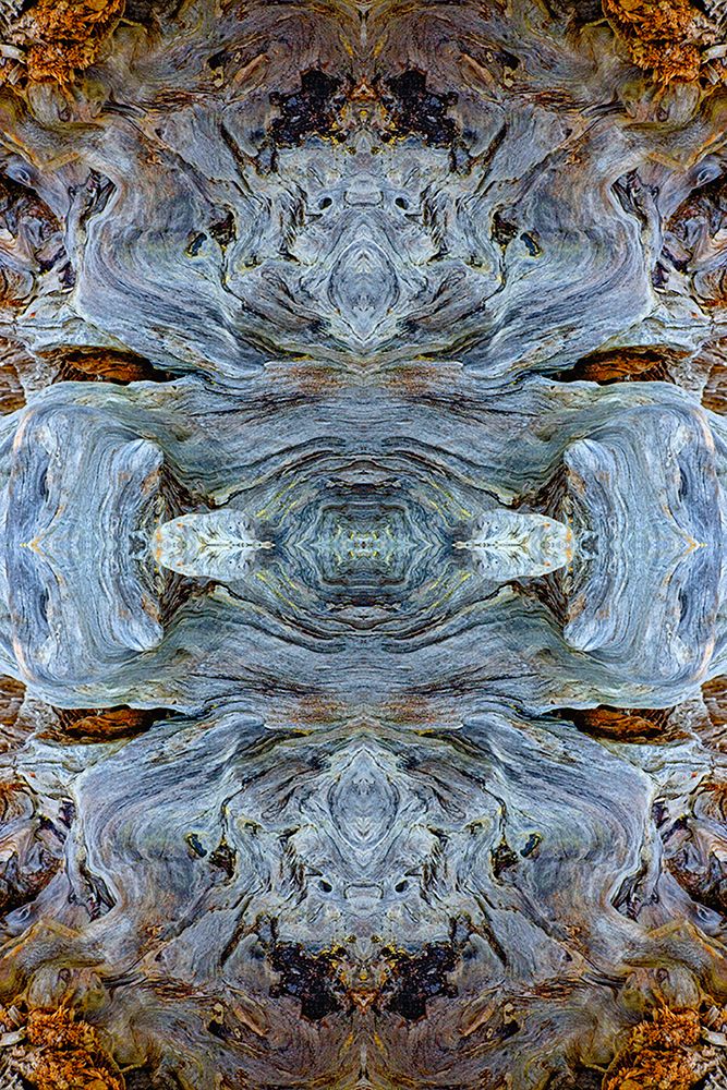 Abstract pattern in driftwood-Bandon Beach-Oregon art print by Adam Jones for $57.95 CAD
