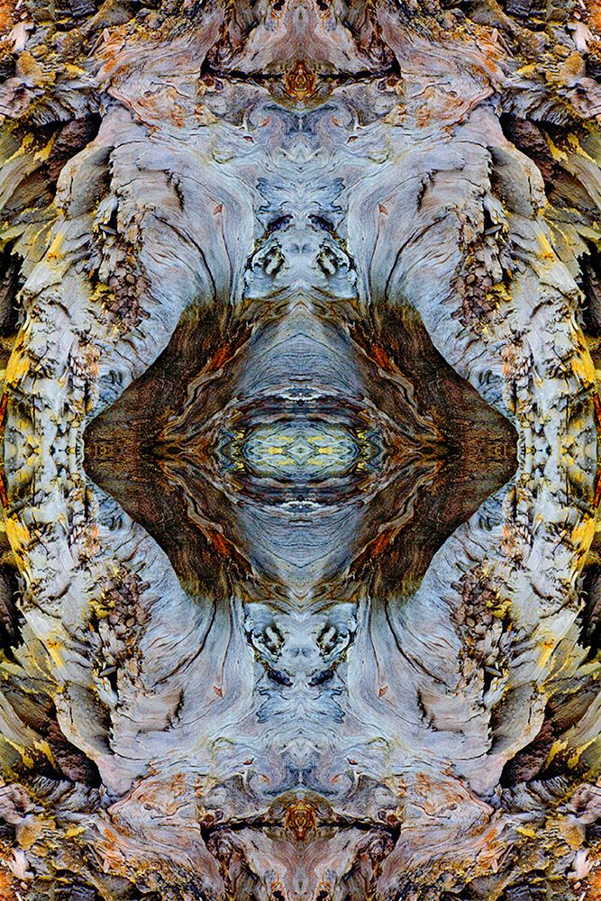 Abstract pattern in driftwood-Bandon Beach-Oregon art print by Adam Jones for $57.95 CAD