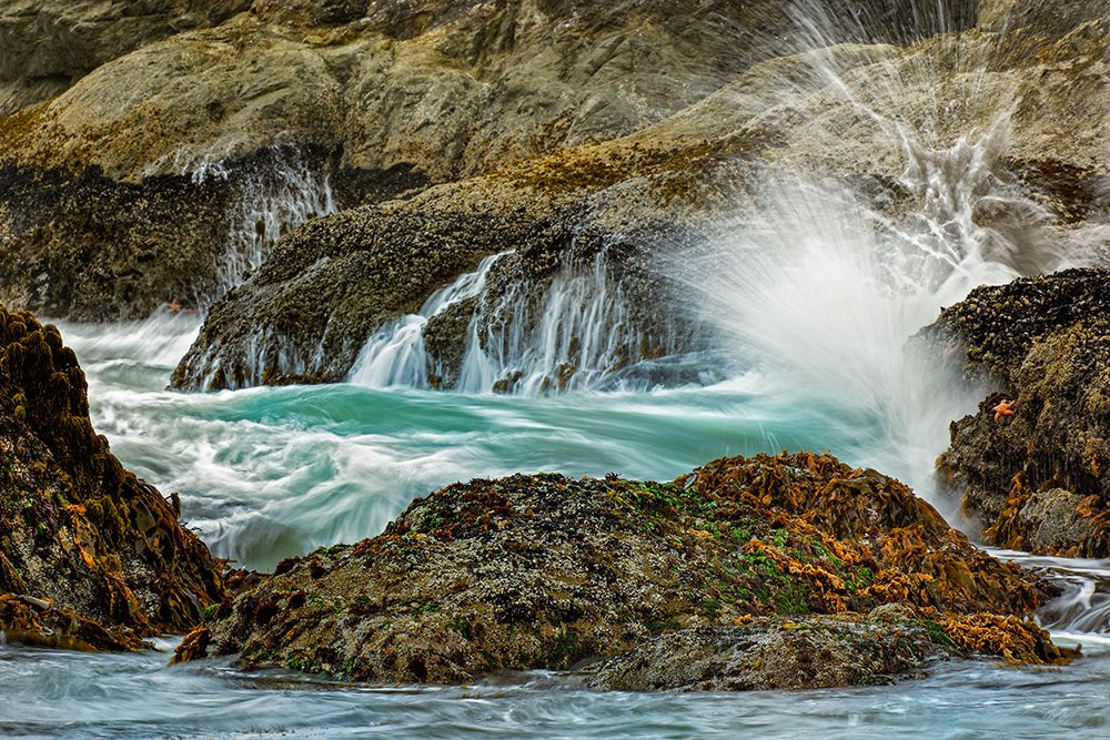 Surf crashing on rocks-Bandon Beach-Oregon art print by Adam Jones for $57.95 CAD