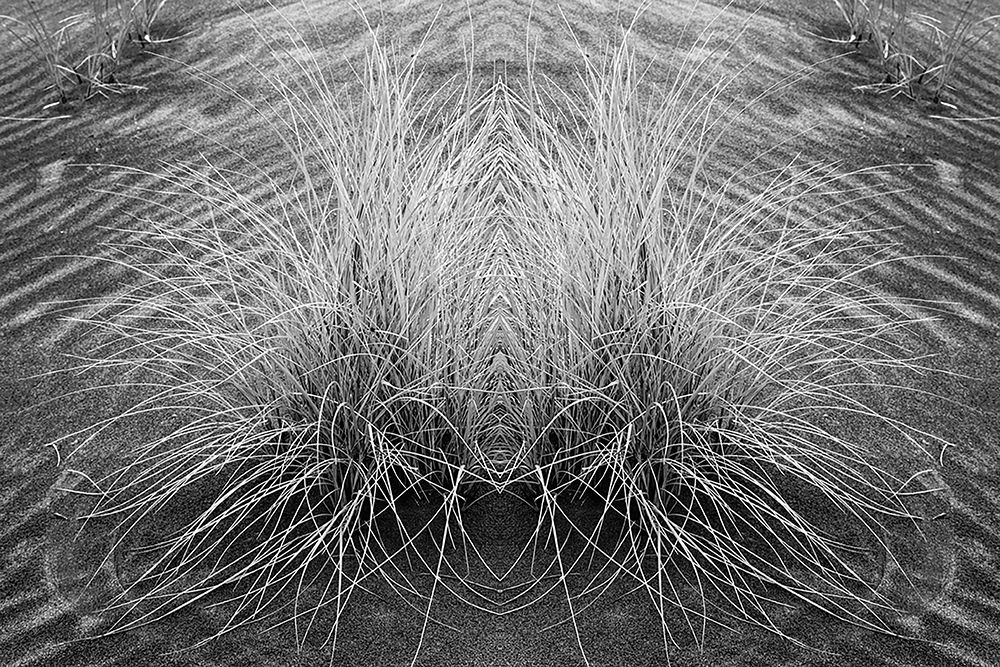 Grass pattern reflected and flipped-Bandon-Oregon art print by Adam Jones for $57.95 CAD