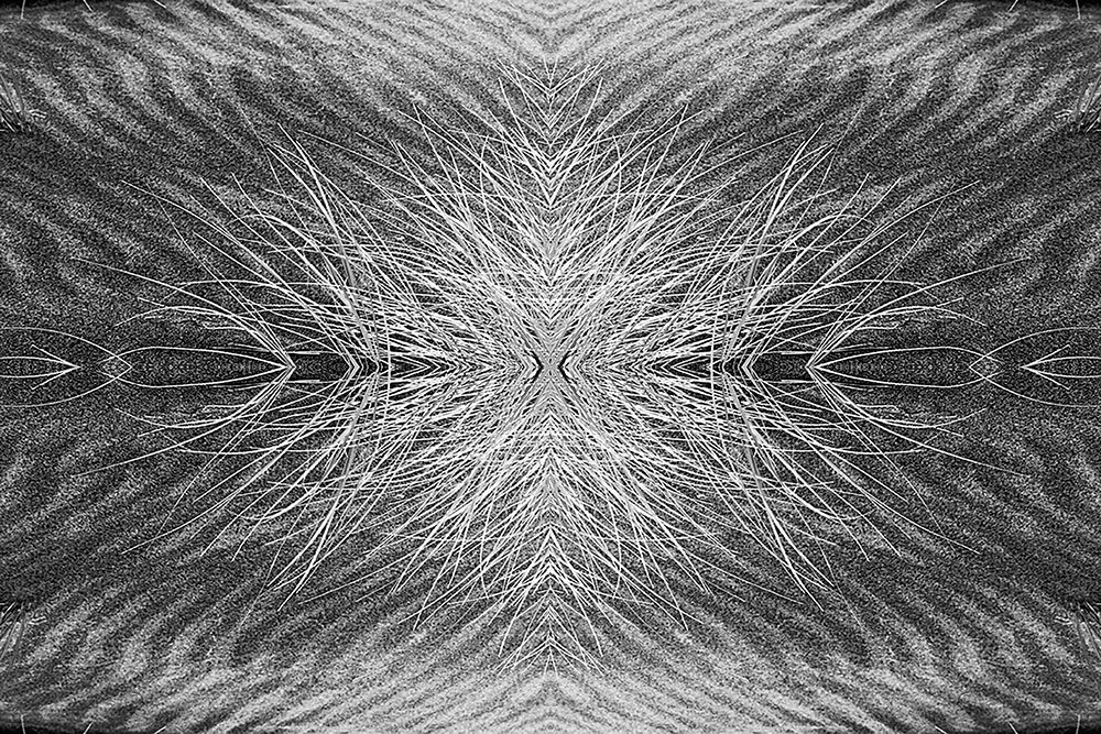 Grass pattern reflected and flipped-Bandon-Oregon art print by Adam Jones for $57.95 CAD