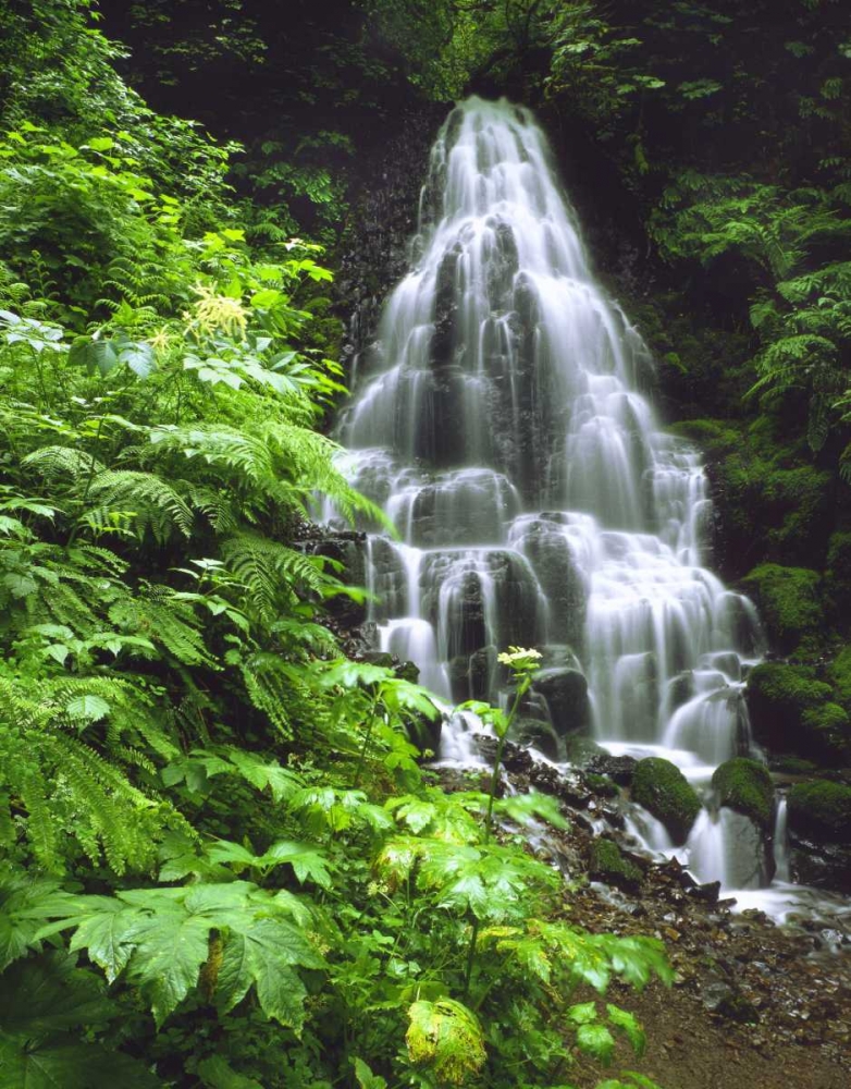 OR, Columbia Gorge, Fairy Falls cascading art print by Steve Terrill for $57.95 CAD