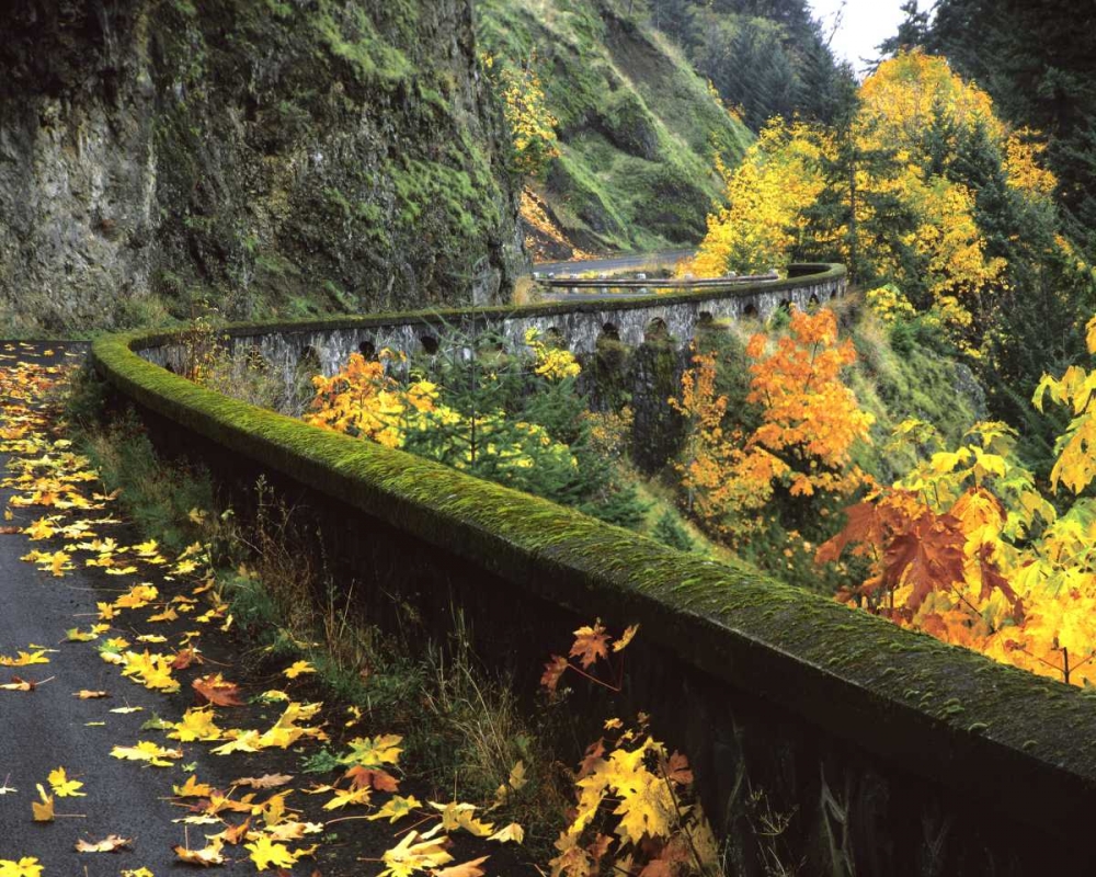 OR, Columbia Gorge, Columbia River Highway art print by Steve Terrill for $57.95 CAD