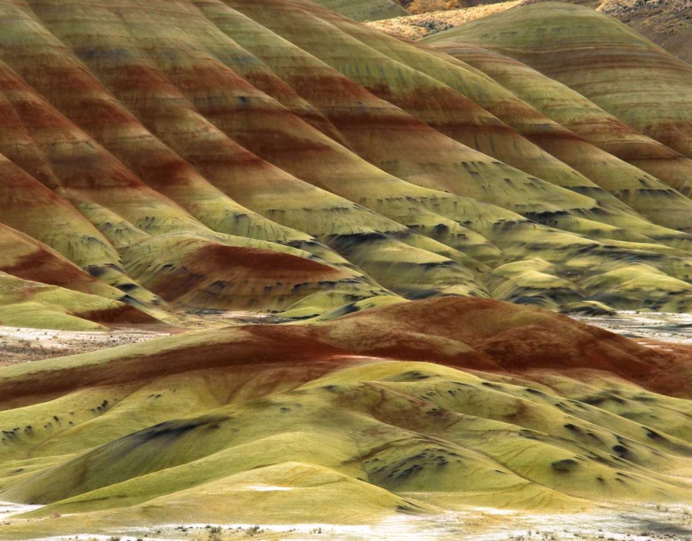 OR, Volcanic ash hills of the Painted Hills Unit art print by Steve Terrill for $57.95 CAD