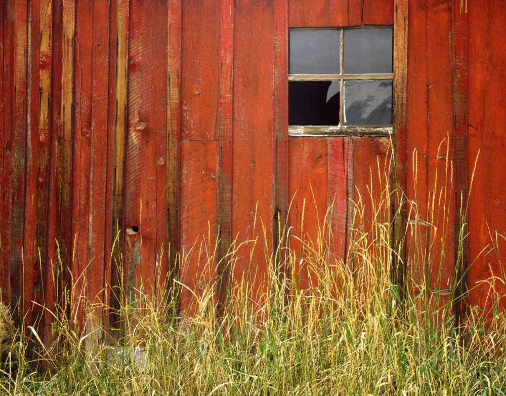 OR, Joseph, Grasses contrast with broken window art print by Steve Terrill for $57.95 CAD