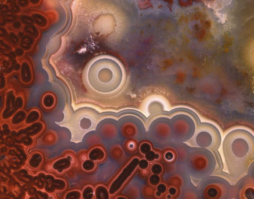 OR, Pattern in Mexican crazy lace agate art print by Steve Terrill for $57.95 CAD