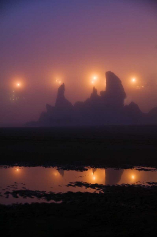 OR, Brandon City lights silhouette sea stacks art print by Nancy Rotenberg for $57.95 CAD