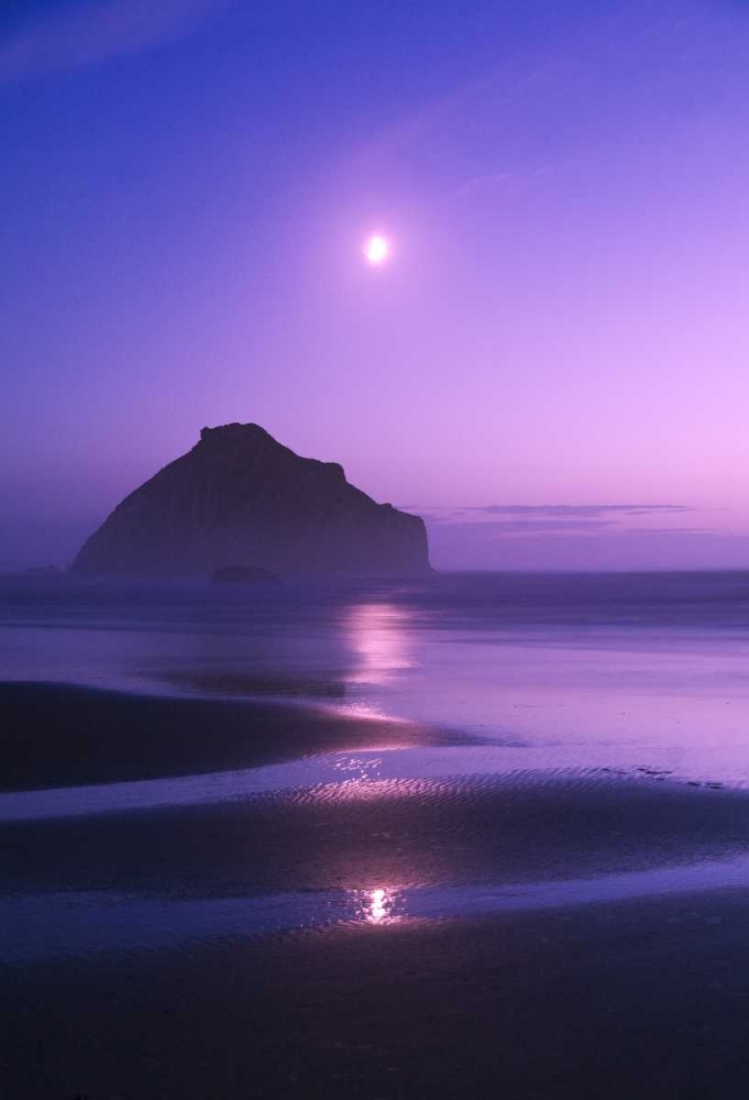 USA, Oregon Moonrise over Face Rock art print by Nancy Rotenberg for $57.95 CAD
