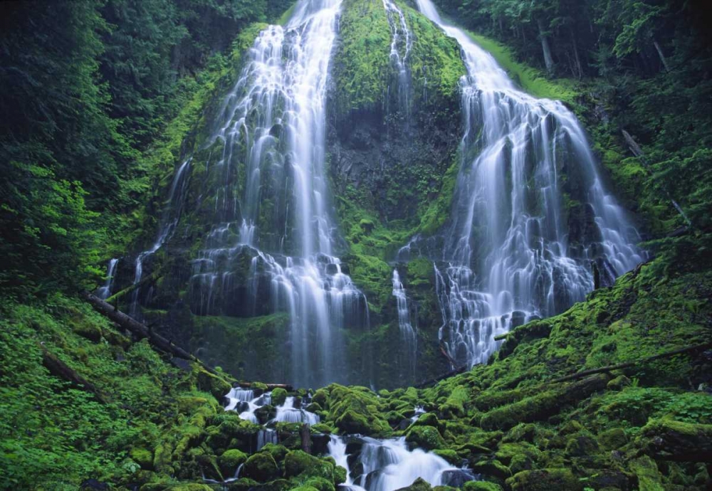 Oregon, Willamette NF The Lower Proxy Falls art print by Steve Satushek for $57.95 CAD