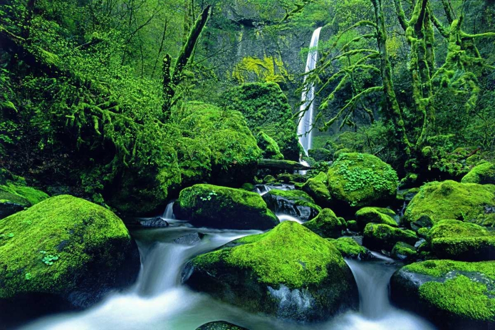 OR, Columbia Gorge Elowah Falls and boulders art print by Dave Welling for $57.95 CAD
