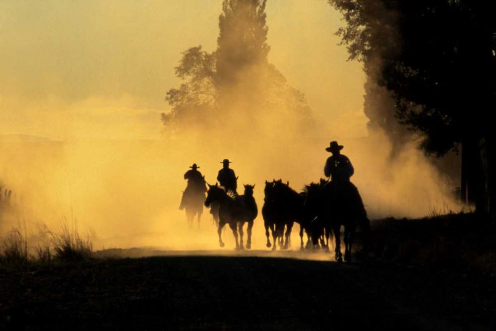 OR, Burns Cowboys driving wild horses on a road art print by Steve Terrill for $57.95 CAD