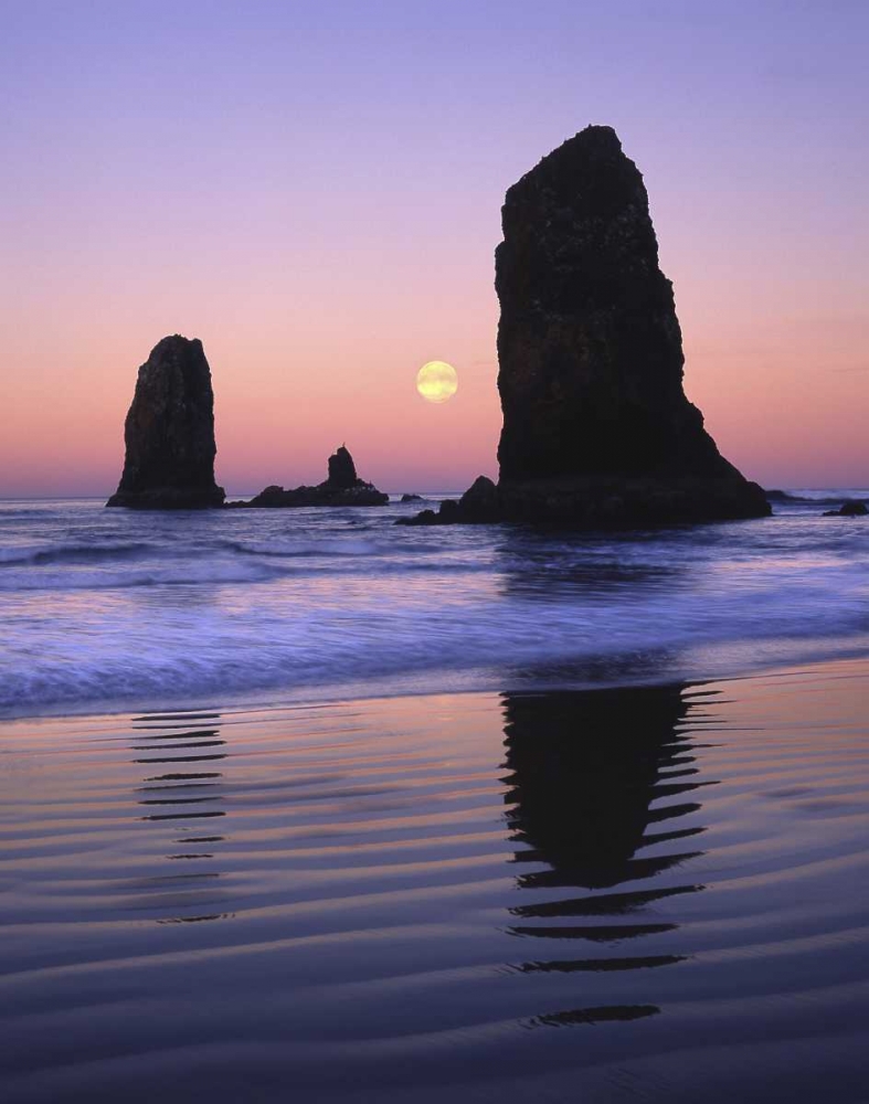 OR, Cannon Beach The Needles rock monoliths art print by Steve Terrill for $57.95 CAD