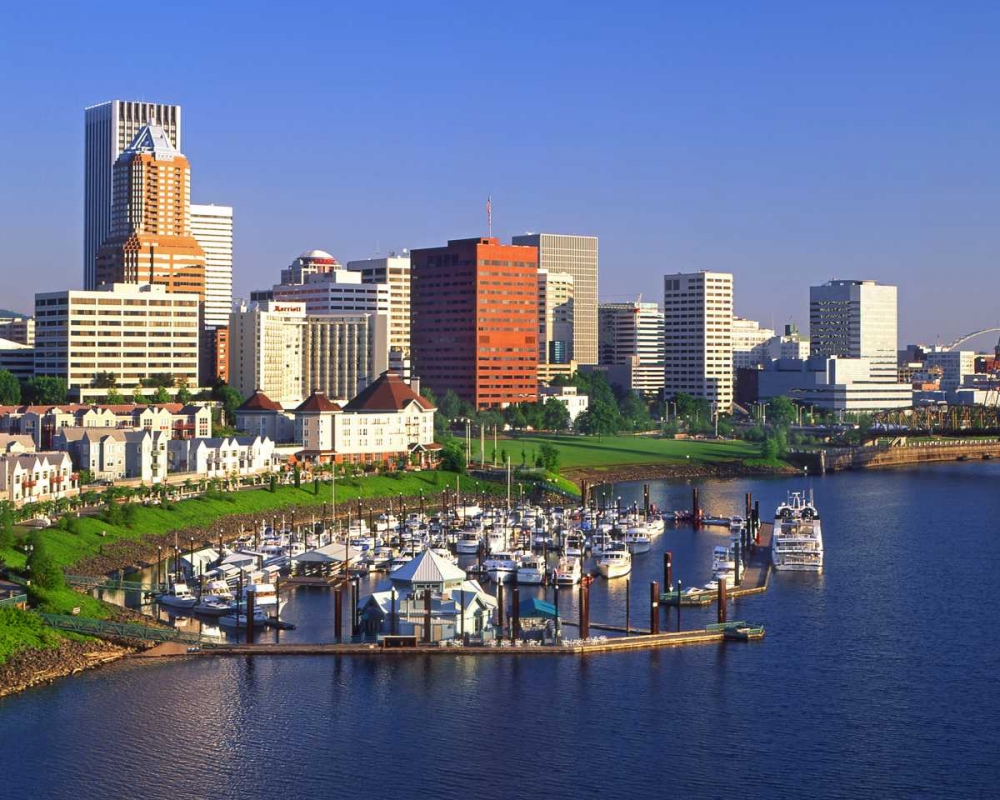 OR, Portland Downtown skyline and Marina art print by Steve Terrill for $57.95 CAD