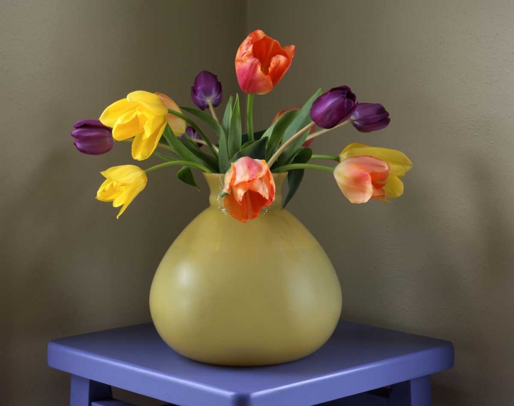 OR, Portland Tulips in antique glass vase art print by Steve Terrill for $57.95 CAD