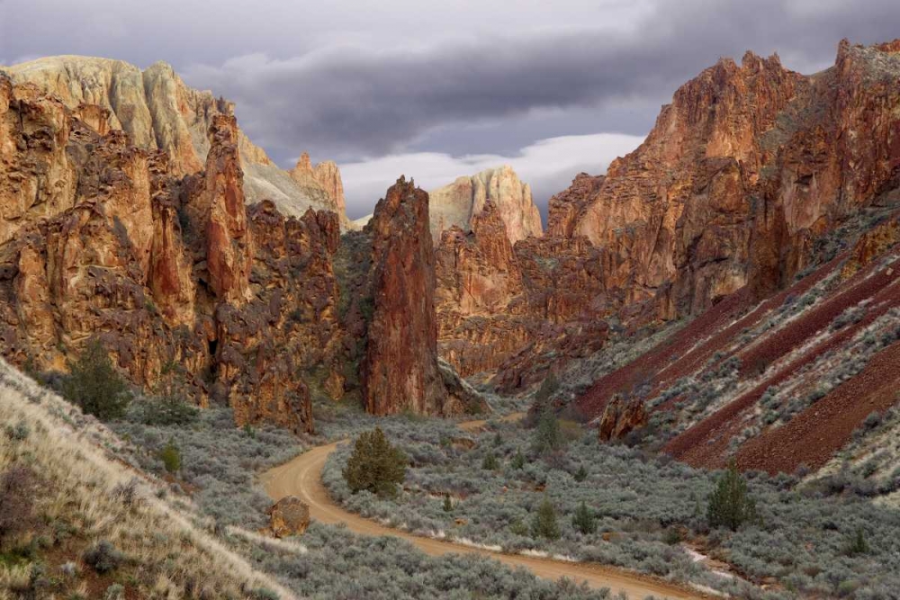 USA, Oregon View of Leslie Gulch art print by Don Paulson for $57.95 CAD