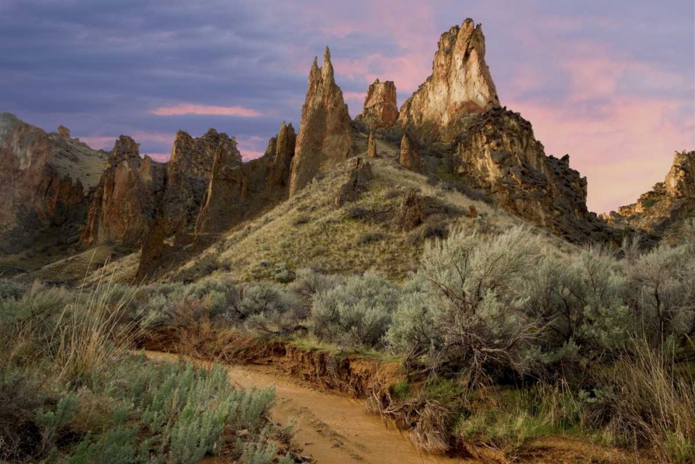 USA, Oregon View of Leslie Gulch art print by Don Paulson for $57.95 CAD
