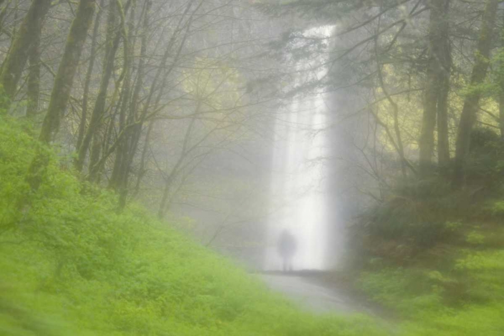 OR, Columbia Gorge Shrouded Latourell Falls art print by Don Paulson for $57.95 CAD