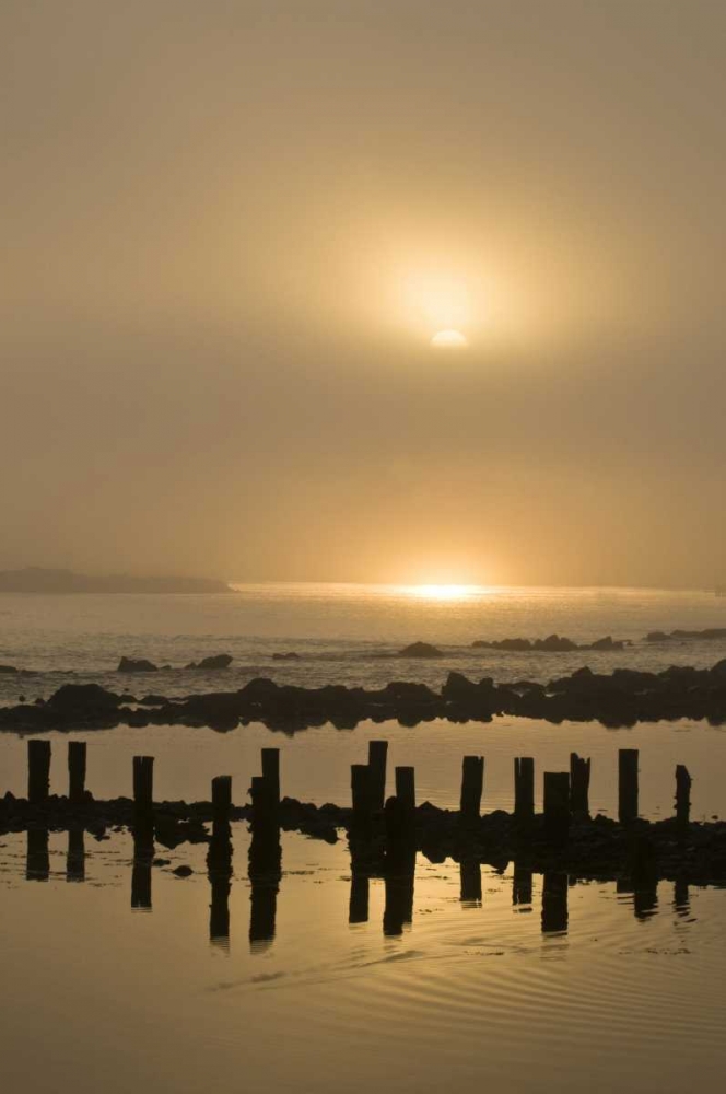 USA, Oregon, Bandon Sunrise on foggy coastline art print by Nancy Rotenberg for $57.95 CAD