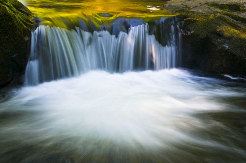 Oregon Reflections in waterfall on Sweet Creek art print by Nancy Rotenberg for $57.95 CAD