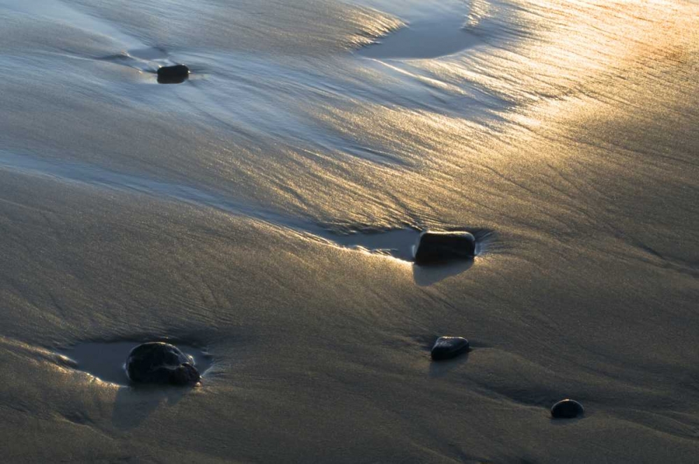 OR, Beach sand and rocks at sunset on shoreline art print by Nancy Rotenberg for $57.95 CAD