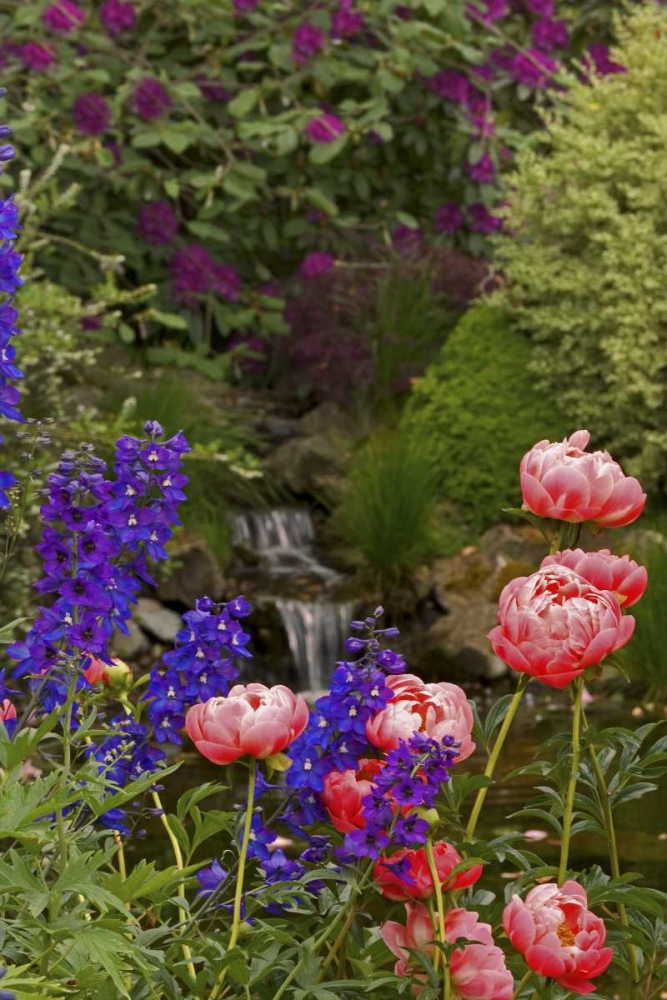 OR,Salem Flowers grow near brook art print by Don Paulson for $57.95 CAD