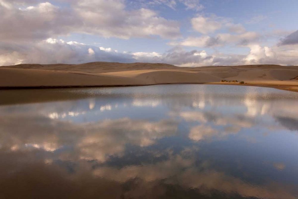 OR, Siuslaw NF, Umpqua Dunes Lake next to dunes art print by Don Paulson for $57.95 CAD