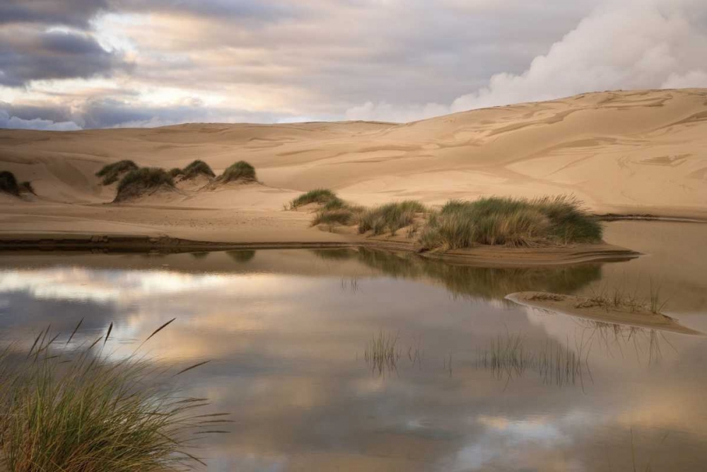 OR, Siuslaw NF, Umpqua Dunes Lake next to dunes art print by Don Paulson for $57.95 CAD
