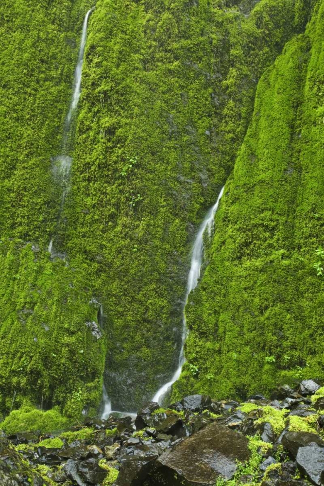 OR, Columbia Gorge Elowah Falls Trail Waterfall art print by Don Paulson for $57.95 CAD