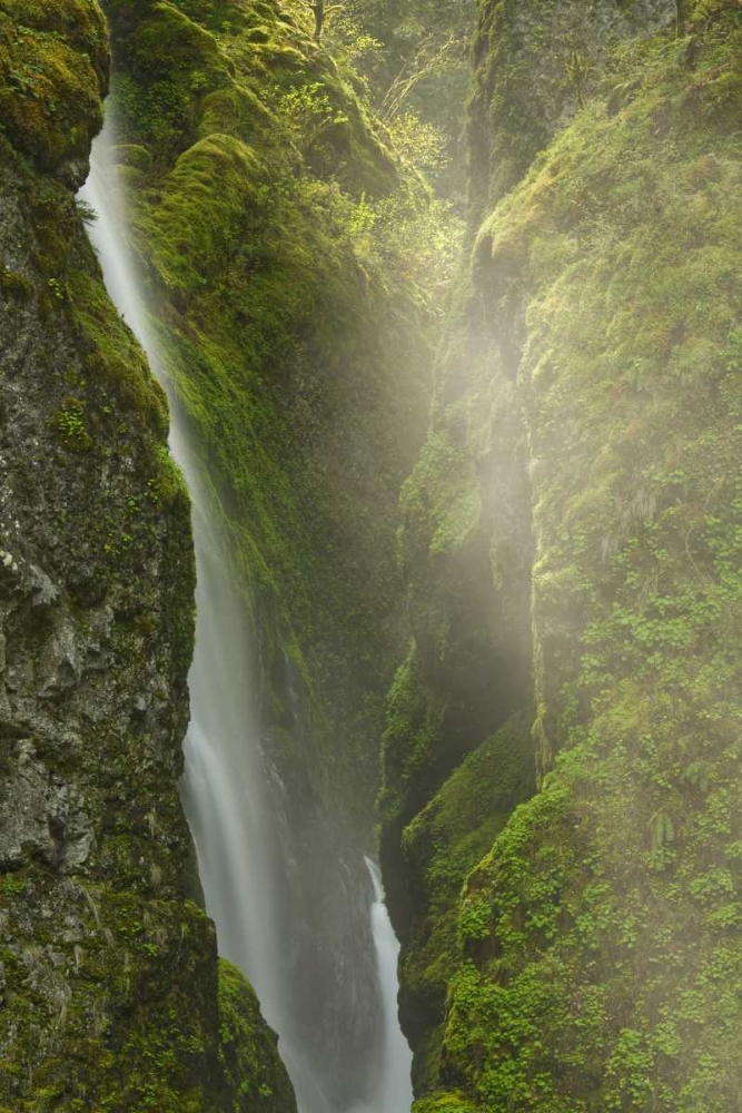 OR, Columbia Gorge Overlook of Elowah Falls art print by Don Paulson for $57.95 CAD