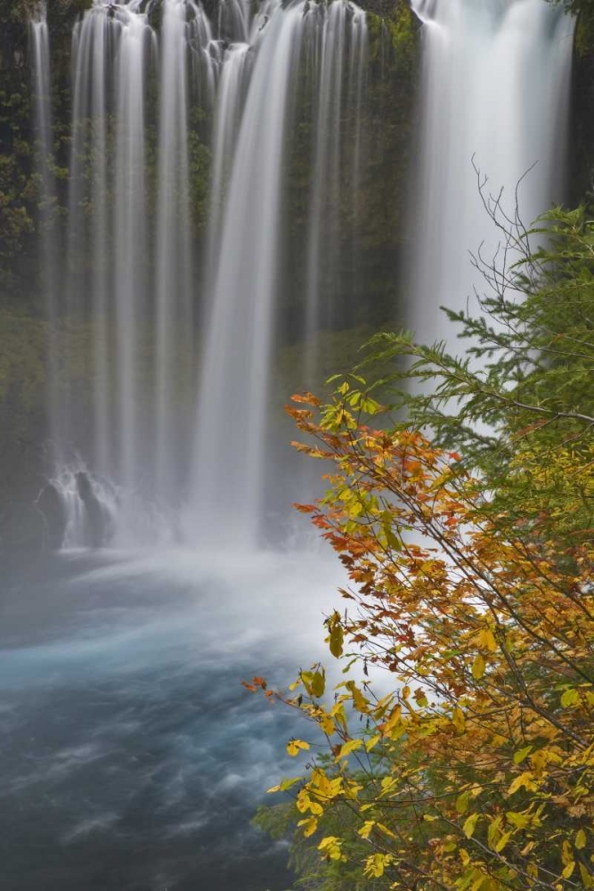 OR, Willamette NF Koosah Falls art print by Don Paulson for $57.95 CAD