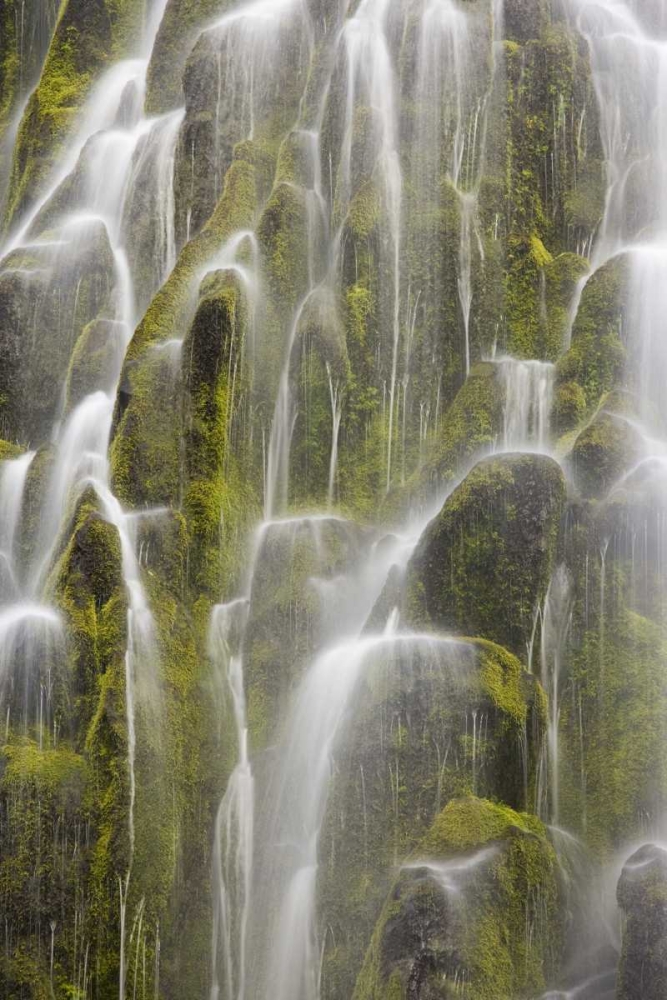 Oregon, Willamette NF View of Proxy Falls art print by Don Paulson for $57.95 CAD