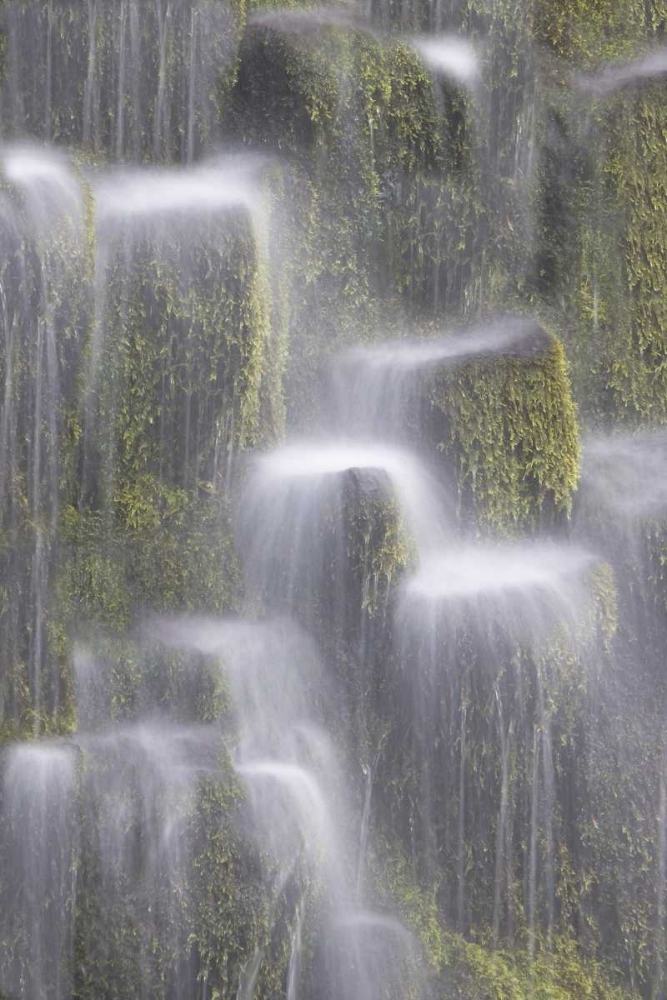 OR, Willamette NF Proxy Falls cascading water art print by Don Paulson for $57.95 CAD