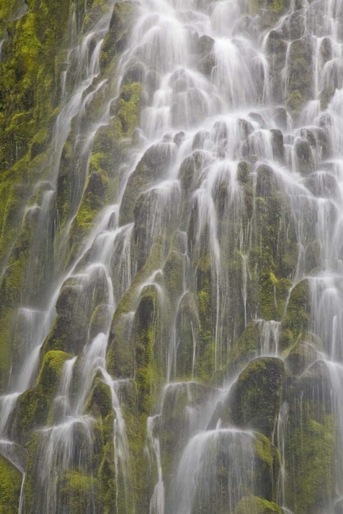 Oregon, Willamette NF View of Proxy Falls art print by Don Paulson for $57.95 CAD