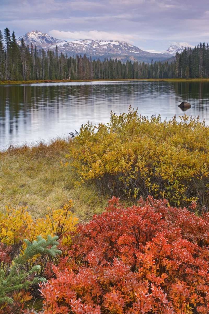 OR, Willamette NF Scott Lake and Three Sisters art print by Don Paulson for $57.95 CAD