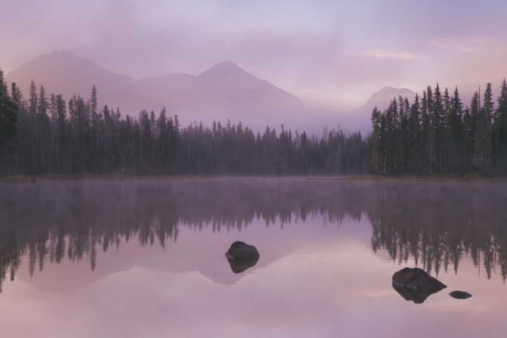 OR, Willamette NF Foggy sunrise on Scott Lake art print by Don Paulson for $57.95 CAD