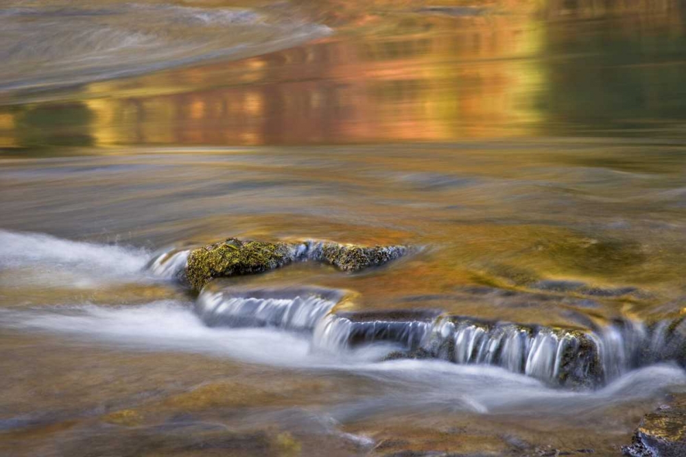 OR, Rogue River NF Autumn reflections art print by Don Paulson for $57.95 CAD