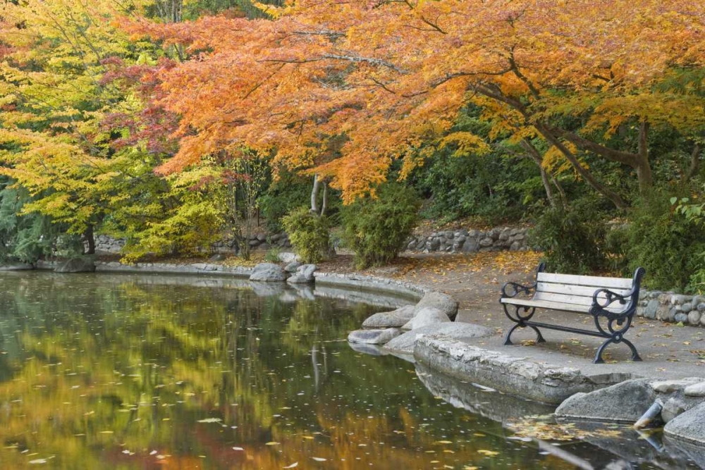 OR, Lithia Park Walkway bench next to pond art print by Don Paulson for $57.95 CAD