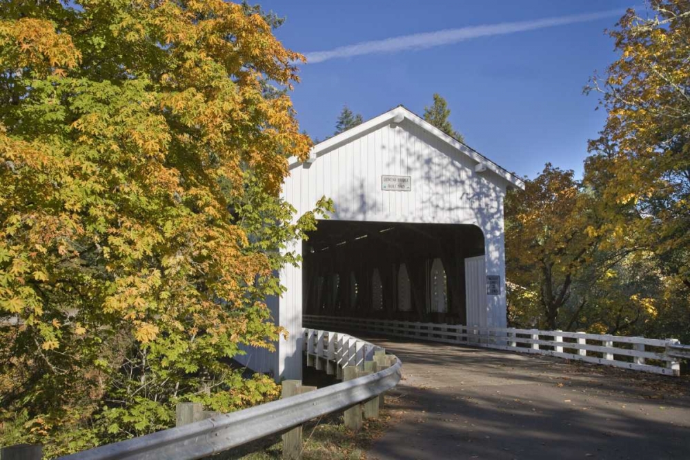 OR, Cottage Grove Historic Dorena Covered Bridge art print by Don Paulson for $57.95 CAD
