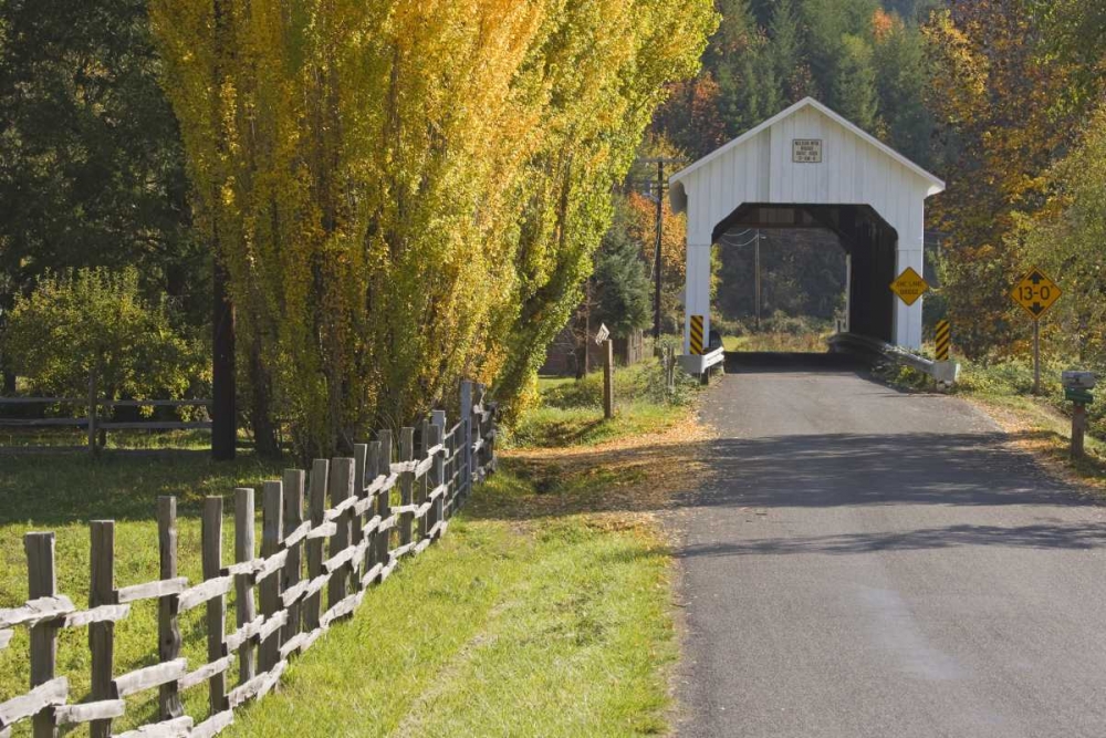 Oregon, Lake Creek Nelson Mountain Bridge art print by Don Paulson for $57.95 CAD
