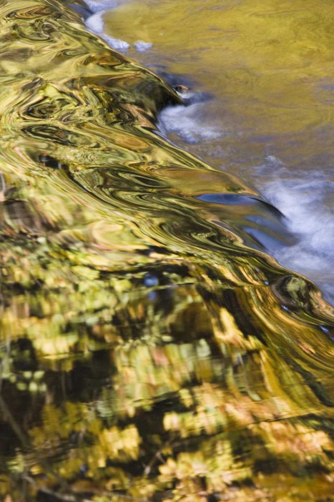 OR, Lake Creek Golden reflections on creek water art print by Don Paulson for $57.95 CAD