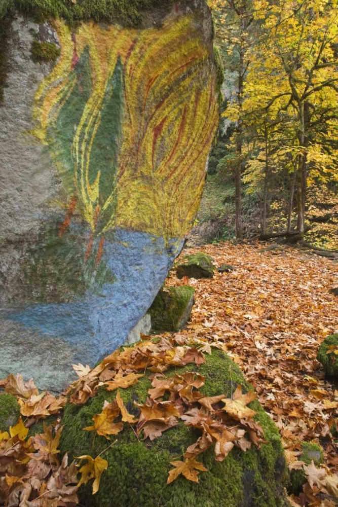 OR, Lake Creek Painted boulder and forest trail art print by Don Paulson for $57.95 CAD
