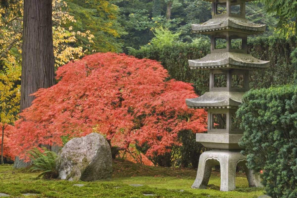 Oregon, Portland Stone tower and Japanese maple art print by Don Paulson for $57.95 CAD
