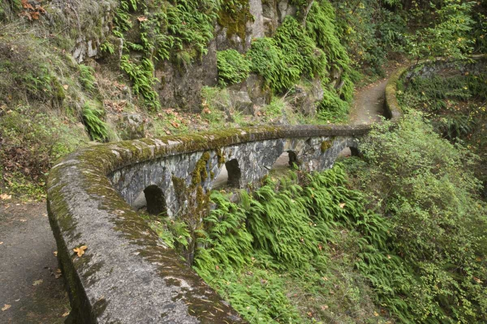 OR, Columbia Gorge Stone wall next to trail art print by Don Paulson for $57.95 CAD