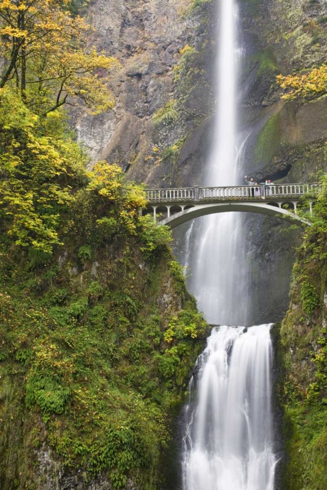 OR, Columbia Gorge Bridge by Multnomah Falls art print by Don Paulson for $57.95 CAD