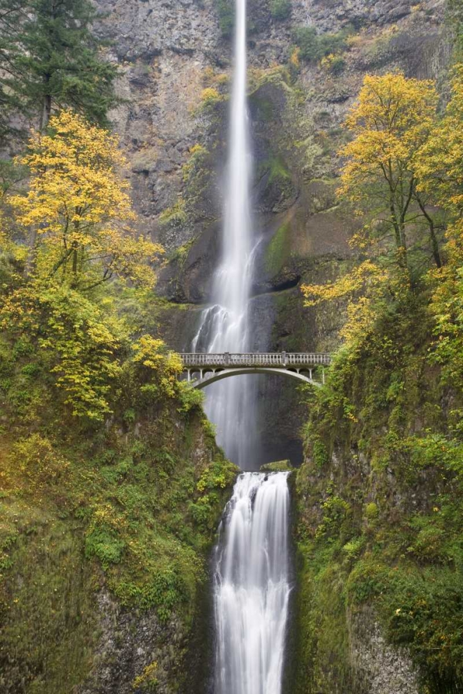 OR, Columbia Gorge Bridge by Multnomah Falls art print by Don Paulson for $57.95 CAD