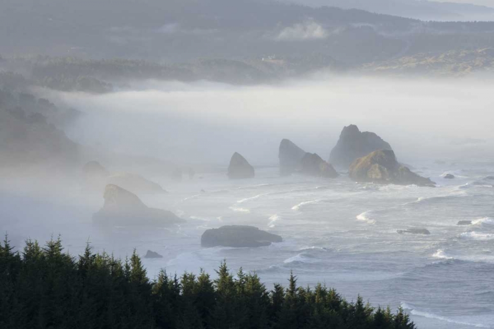 Oregon, Gold Beach Foggy morning on seashore art print by Wendy Kaveney for $57.95 CAD