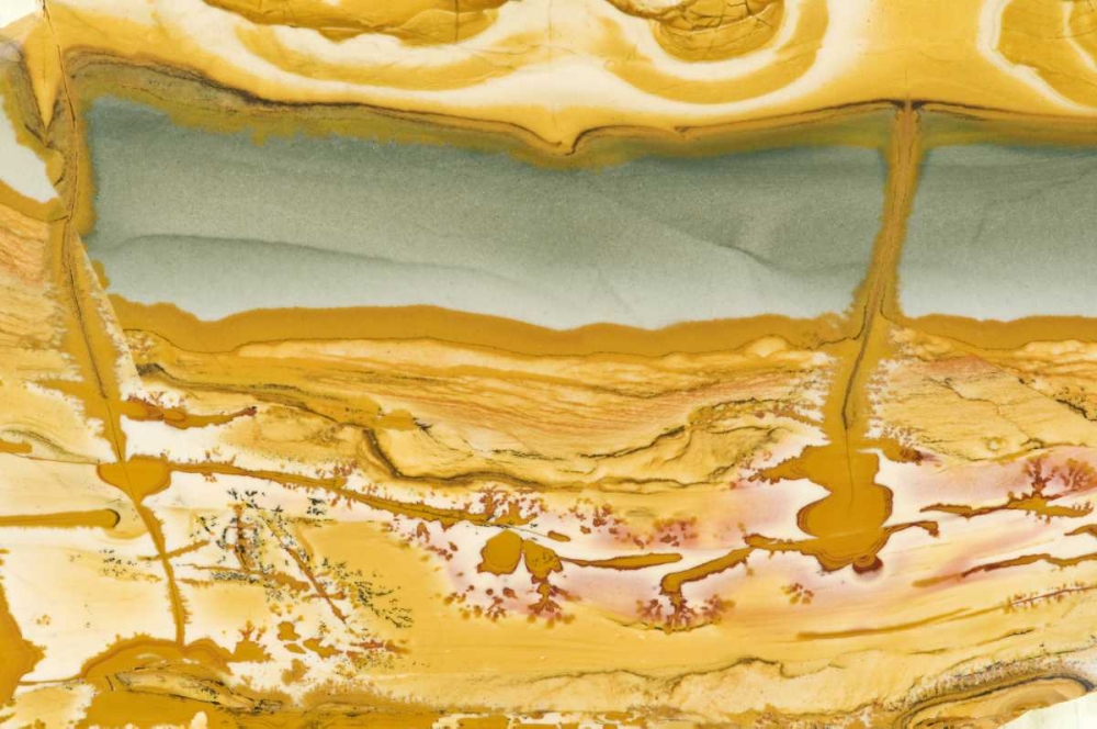 Oregon Close-up of Owyhee Picture Jasper stone art print by Dennis Kirkland for $57.95 CAD