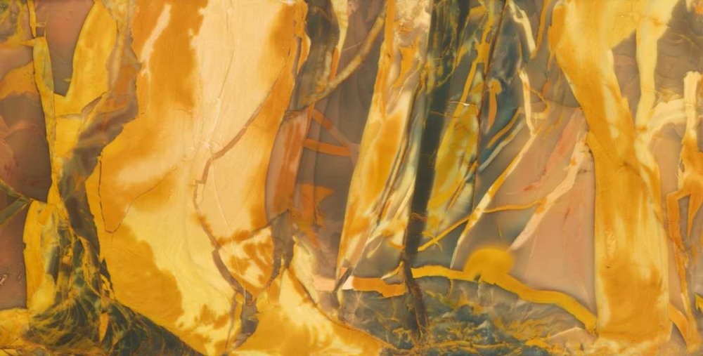 Oregon, Owyhee River Valley Morrisonite Jasper art print by Dennis Kirkland for $57.95 CAD